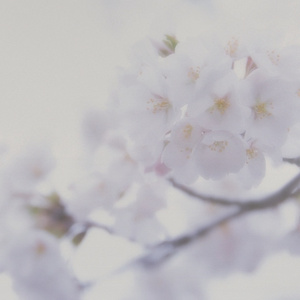 亚洲廋老头ⅩXXX
