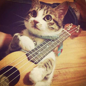 亚洲廋老头ⅩXXX
